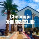 주식회사 캘리포니아베이커리카페 | 청주 내수 베이커리 카페, 카페 캘리포니아 신상 대형카페 추천