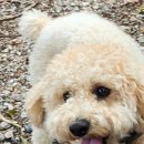 365화목약국 이미지