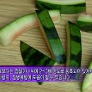 과일모아