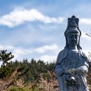 남미륵사 이미지