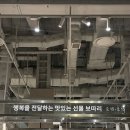 카시코이 | 2.15) | 오치타 타르트, 리틀도르 쿠키/티그레, 카시코이 화과자, 명례헌 떡 메뉴, 가격정보, 맛 후기