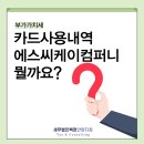 신용카드내역 현금영수증 에스씨케이컴퍼니 무슨 내역인가요? 부가가치세 Tip