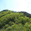 산수곡 Daum카페