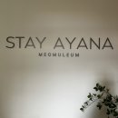 스테이아야나(STAY AYANA) 이미지