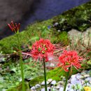 석산