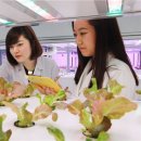 그린농장(GREEN) 이미지