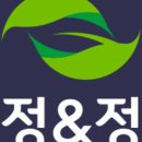 정앤정