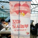 굿베이스와 함께 떠나는 딸기&amp;허브농장 - 꼬마도시농부 행사에 다녀왔어요 / 대원주말농장 베리앤메리...
