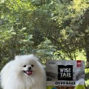 호키소프트 이미지