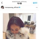 포뇨