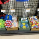 뉴욕애견 이미지