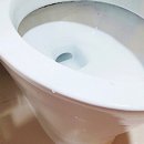 목상동 화장실 이미지