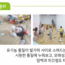 아이들의요리놀이터 이미지