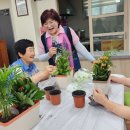 숙마경로당 네이버블로그