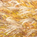 하늘공원 화장실 이미지