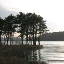 탑정호가 이미지