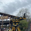 한글2010 | 충칭여행 하루 투어 8인 소그룹 우롱투어 내돈내산 후기