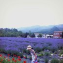 월은농장 이미지