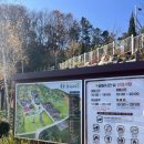 자작나무 숲 | 용인자작나무숲 애견동반후기