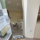 댕댕보스 이미지