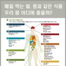 매일 먹는 쌀,콩과 같은 식품 우리 몸 어디에 좋을까? 이미지