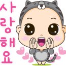 에프씨블랙타이거