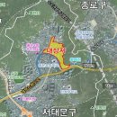 하나홍은