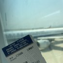 채가당 오리와곱창 | 대련 2박3일 힐링 지대로 하고 왔다 ㅠ 또 갈래...