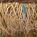 으뜸2농장 이미지