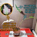 햇빛담은 조명