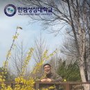 한림성심대학교 티스토리