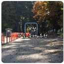 장승목장2 | 가을 축제 추천 9월에 가볼 만한 여행지