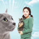 사랑플러스동물병원