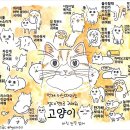 농담곰 작가님 고양이 만화 번역 이미지