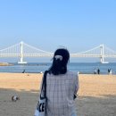 태성티타늄 | 선재업고튀어 부산 팝업스토어 방문후기 &amp; 부산 이곳저곳 즐기기 (사진多)