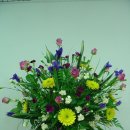 밀드플레 이미지