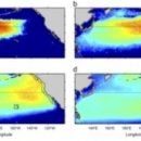 캘리포니아 해변에서 정상수치의 10배가 넘는 후쿠시마 방사능이 측정되었다 이미지