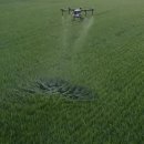 친환경 김포 이미지