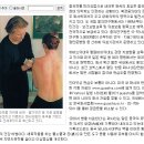 힐링쑥뜸 네이버블로그