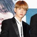 더그미 Daum카페