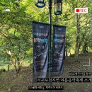 제주 천지연 담팔수 자생지 | 2025 제주여름축제 추천, 제주천지연폭포에서 열리는 서귀포천지연 여름음악축제