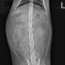 삼산평생동물병원 이미지