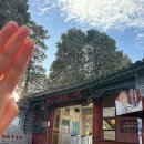 시청로(금산공원 버스정류장) | 혼자 하는 리장 여행 5일차 : 흑룡담 일출 람월곡 백사 고성 과일 시식회