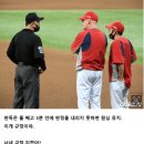 [기아타이거즈외] 최수원 심판조 올시즌 기아상대 오심들 이미지