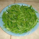 칠칠