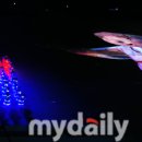 청사초롱 이미지