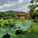 현저 공중화장실 이미지