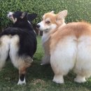 말랑말랑 이미지