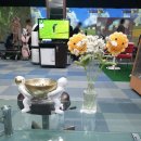 ACE스크린골프 | 스윙이 왜 안 되던지 알게 된 날, 안양 골프레슨 기록