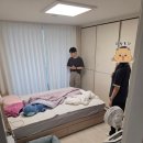 컴1000 | [서울/서대문구] 반려견 분리불안, 짖음 고민 해결! 컴피독 방문교육 솔직 후기